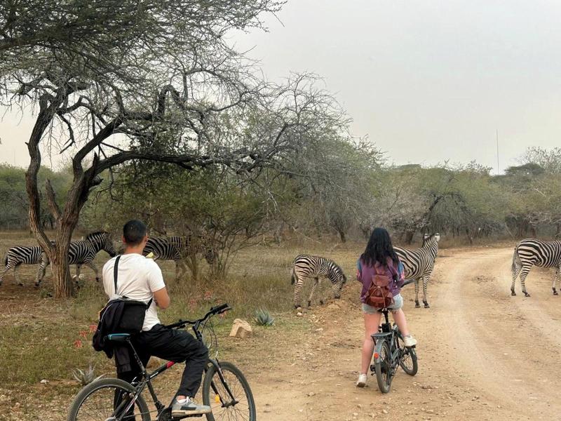 Kruger Park Hostel image