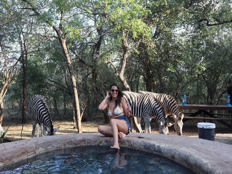 Kruger Park Hostel image