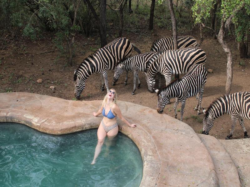 Kruger Park Hostel image