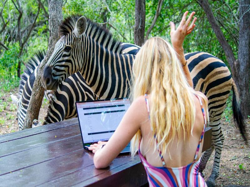 Kruger Park Hostel image
