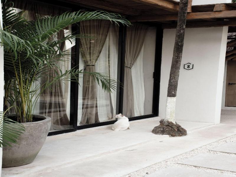 Tuup Oceanfront image