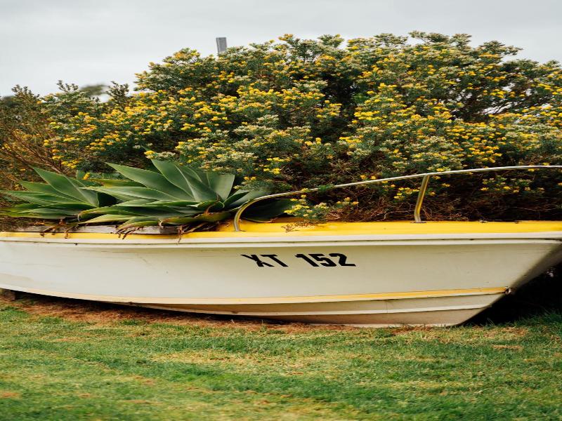 Lakeview Hideaway image