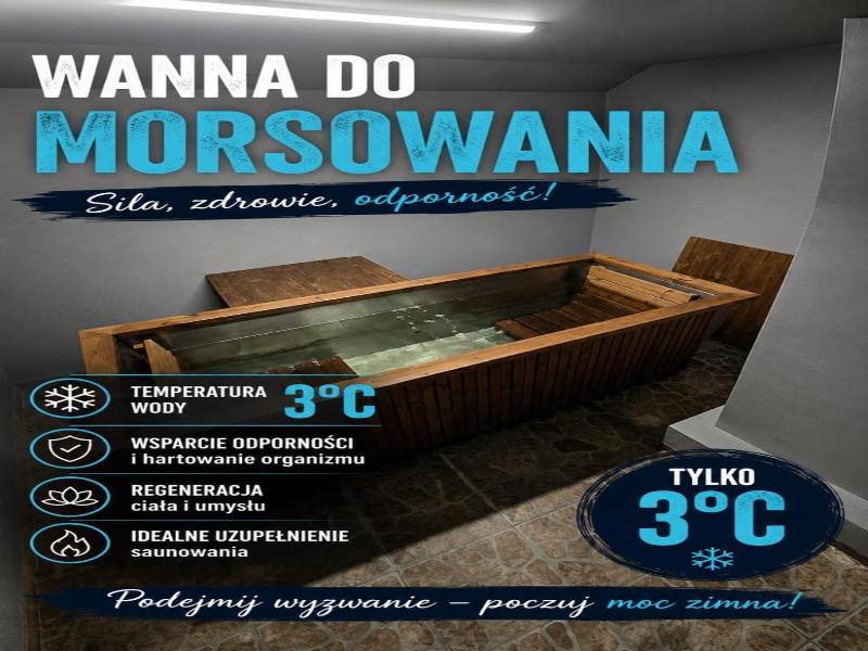Dw Mieszko image