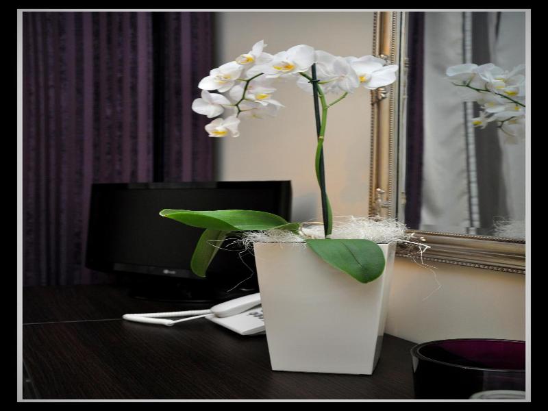 Hotel Willa Adriana image