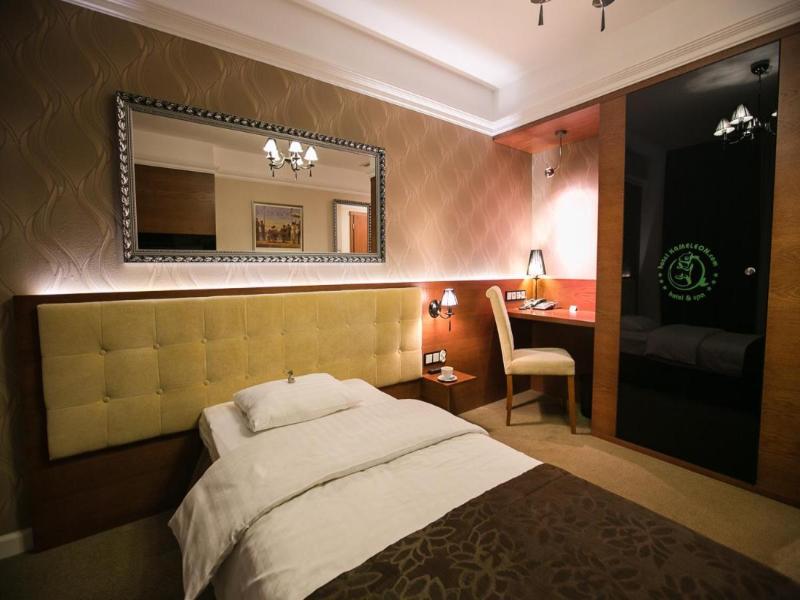 Hotel Spa Kameleon image