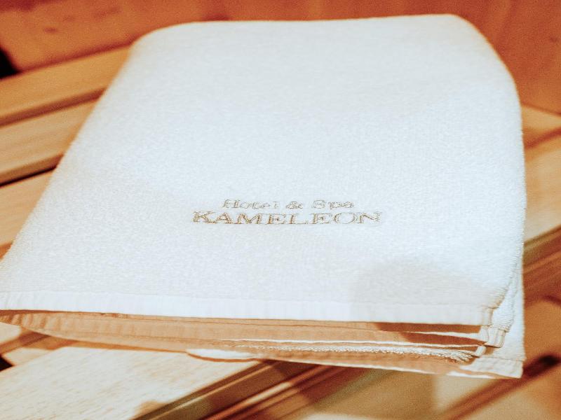 Hotel Spa Kameleon image