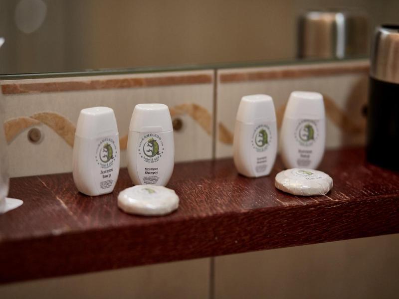 Hotel Spa Kameleon image