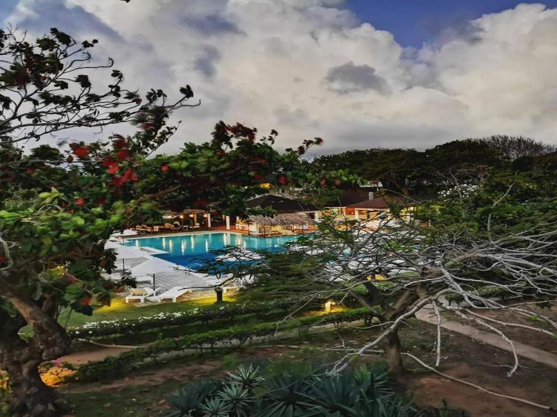 Gecko Resort image