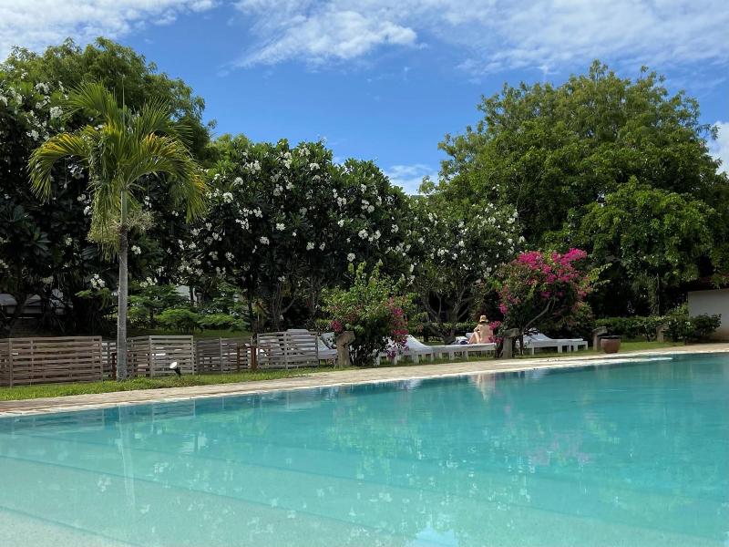 Gecko Resort image