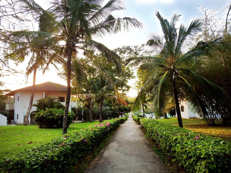 Gecko Resort image