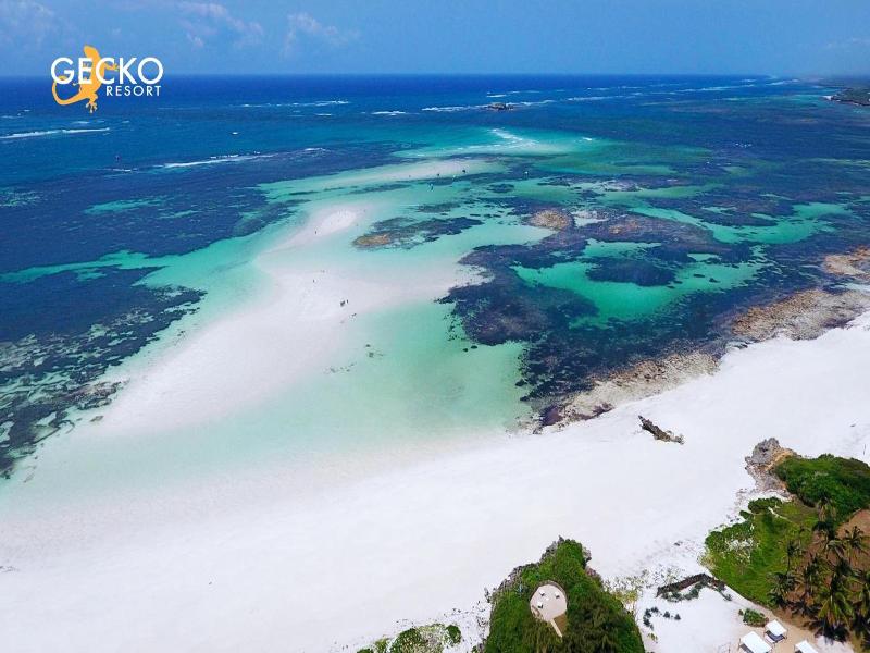 Gecko Resort image