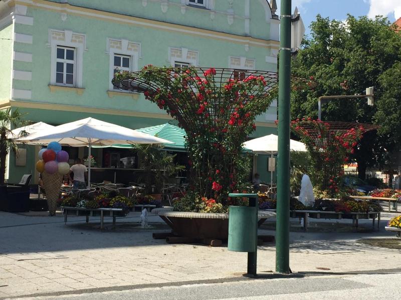 Hotel Braun image