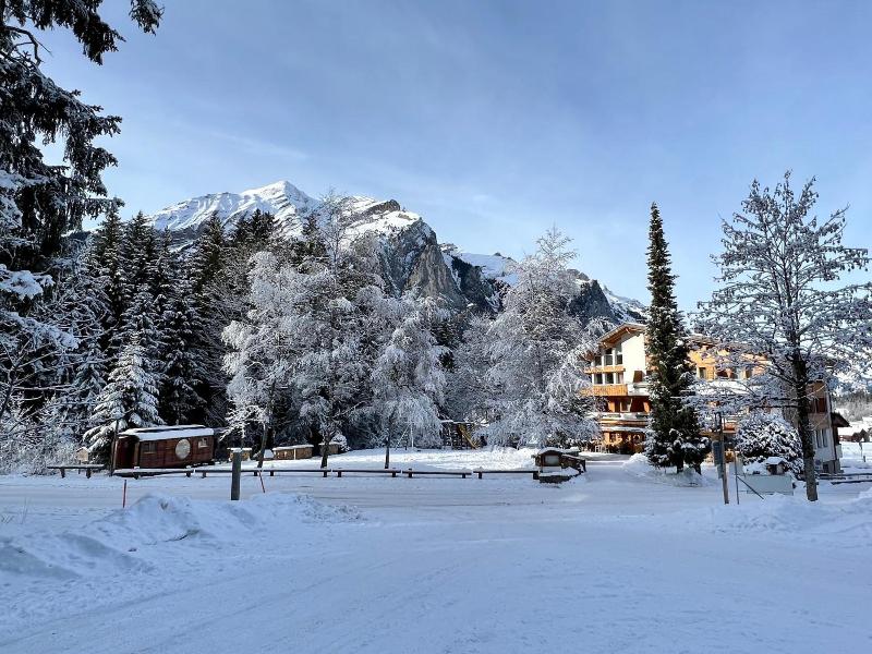 Typically Swiss Hotel Ermitage image