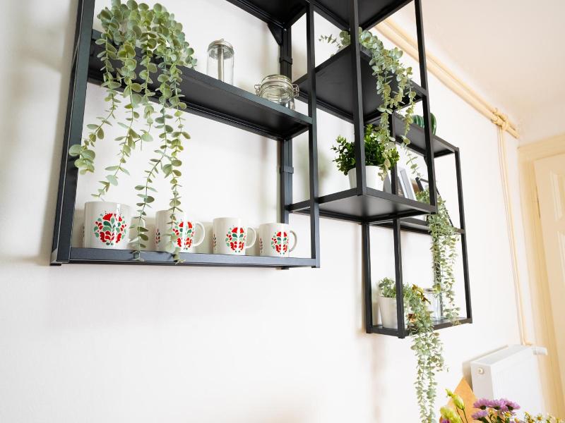 White Wolf House Hostel Apartments image