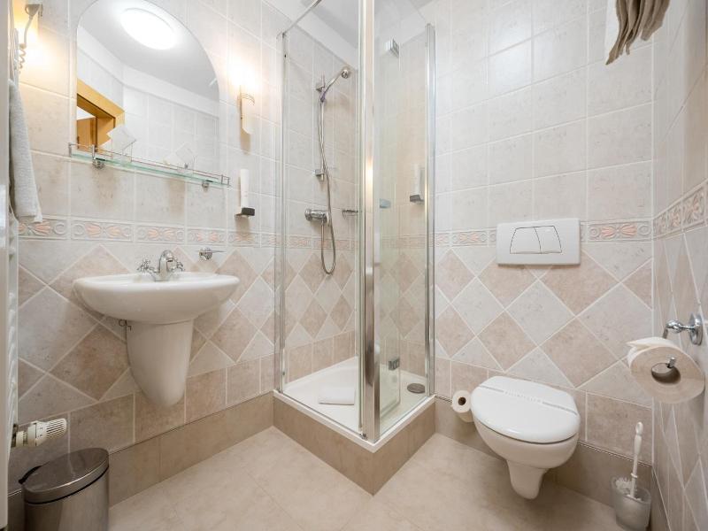 Hotel Zlaty Lev image