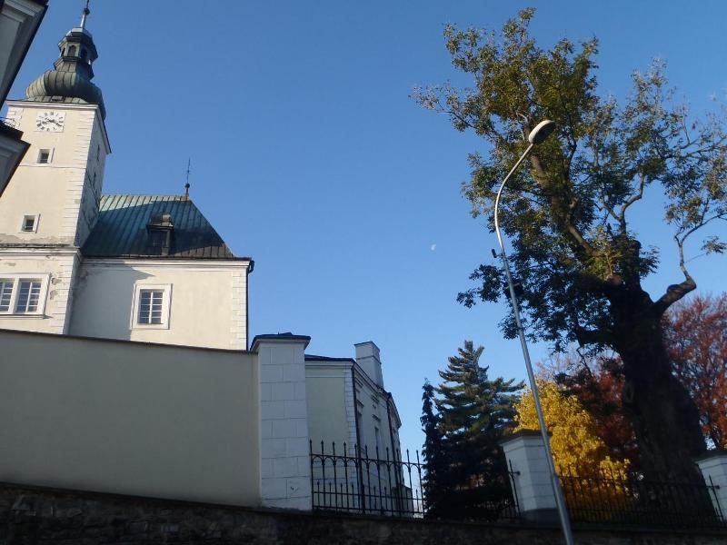 Hotel Caffe Silesia image