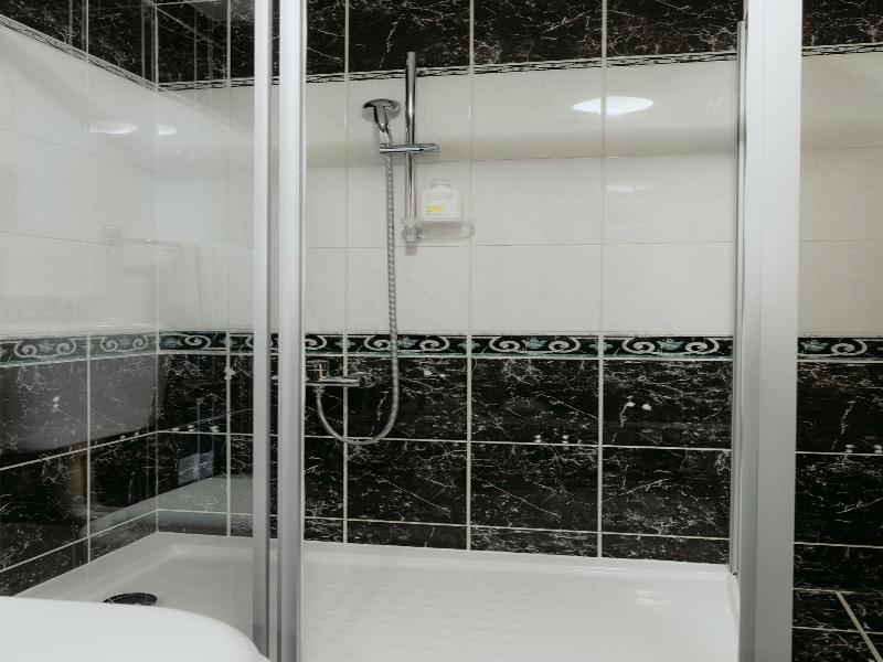 Hotel Silver image