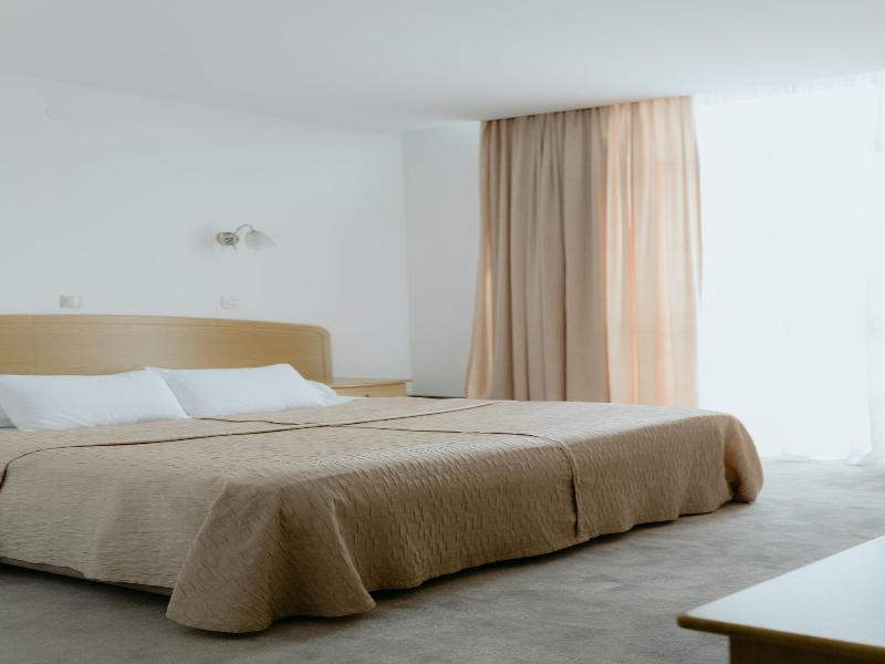 Hotel Silver image