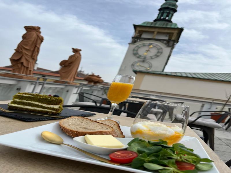 Hotel U Zlatv Ho Kohouta image
