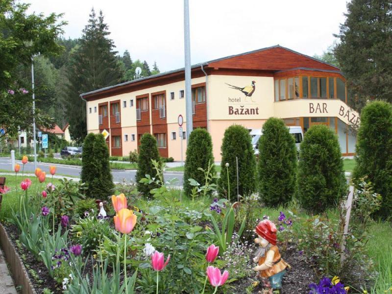 Hotel Bazant image