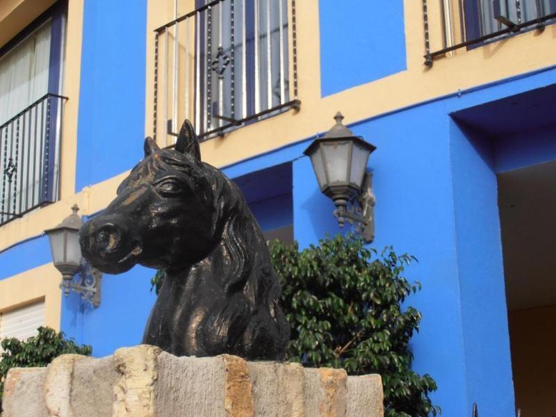 Hotel Caballo Negro image
