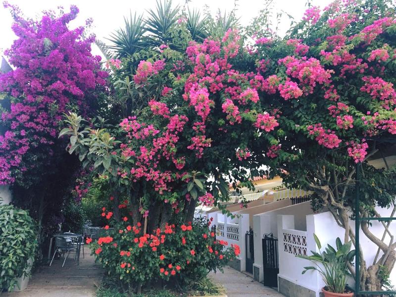 Hotel Antonio Conil image
