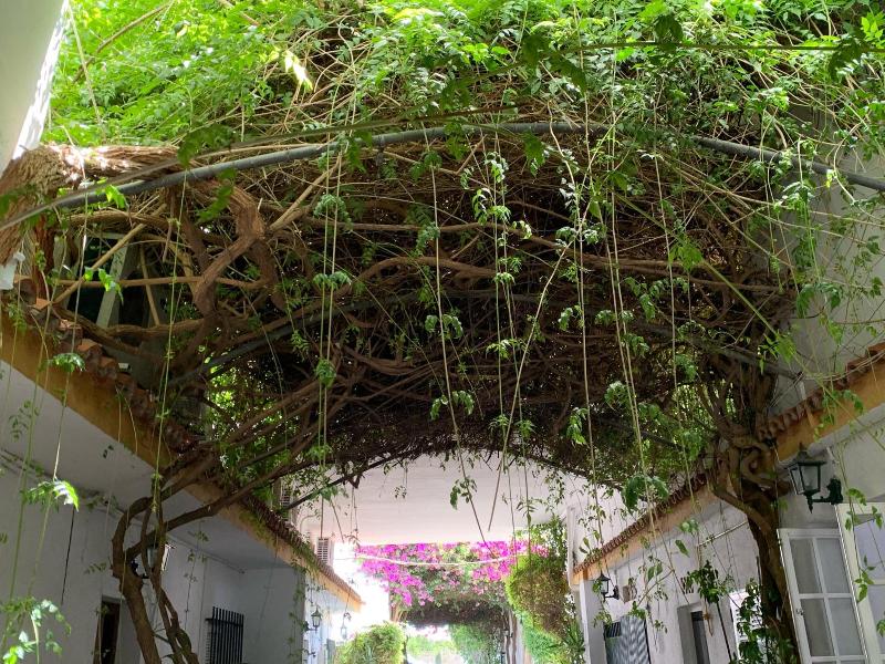 Hotel Antonio Conil image