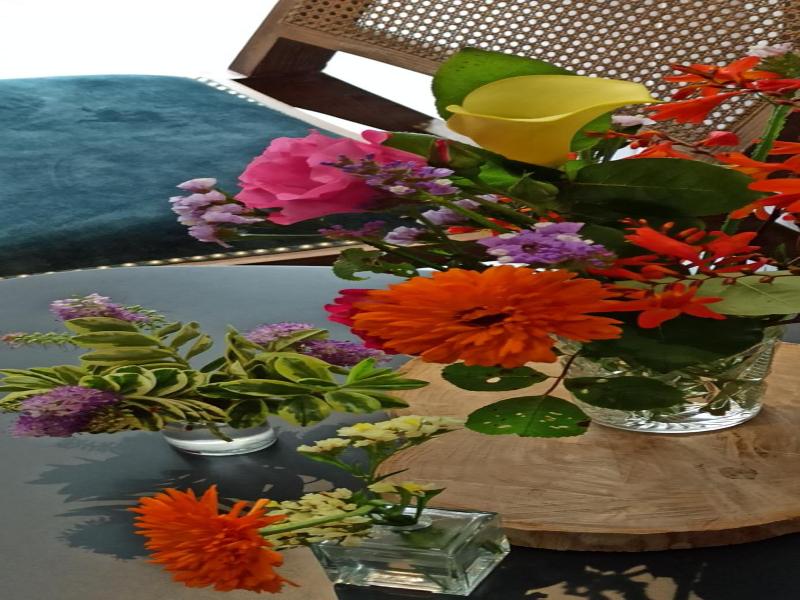 Hotel Dabeleira image