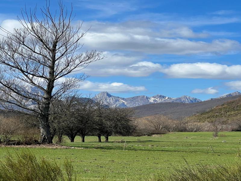 Tierra De La Reina image