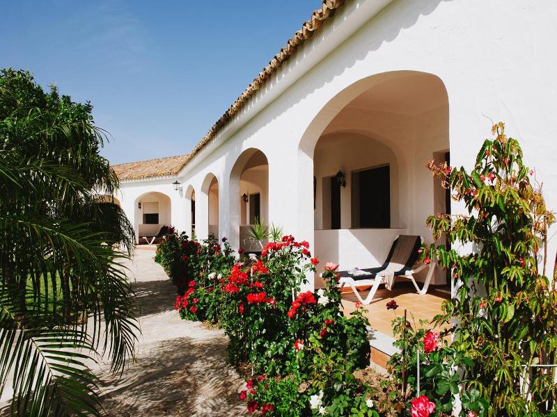La Codorniz image