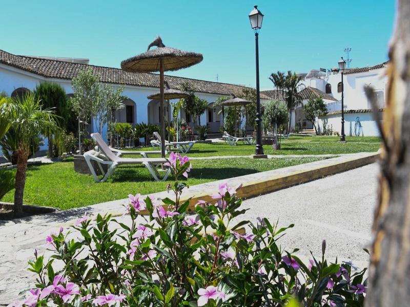 La Codorniz image