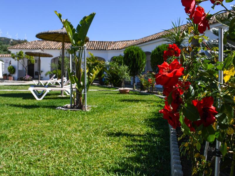 La Codorniz image