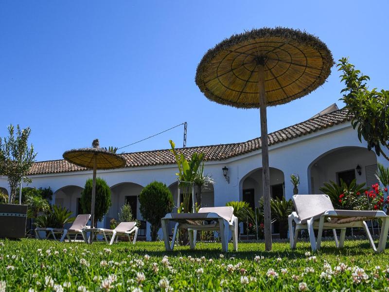 La Codorniz image