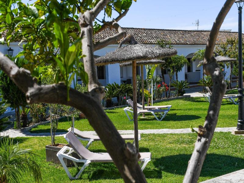 La Codorniz image