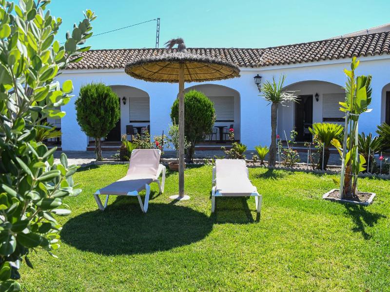 La Codorniz image