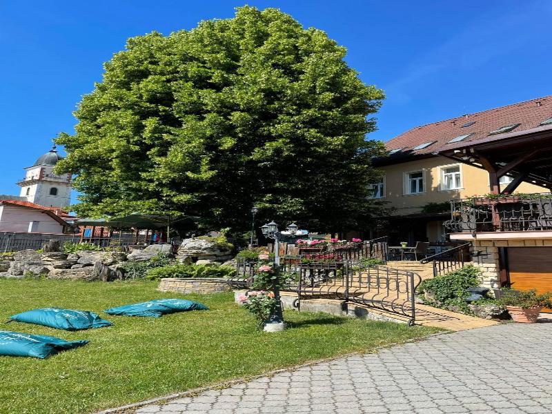 Hotel Lipa image
