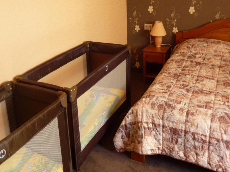 Hotel Lipa image