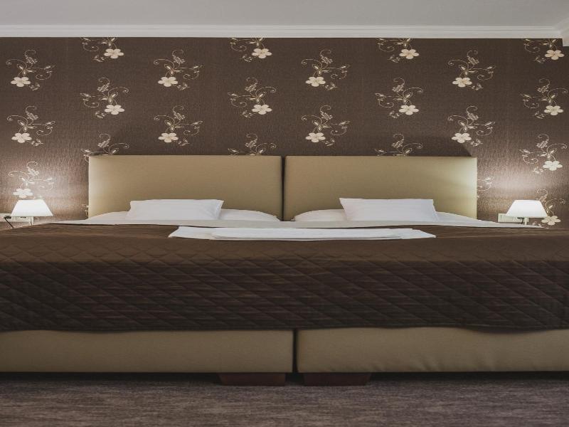 Hotel Lipa image