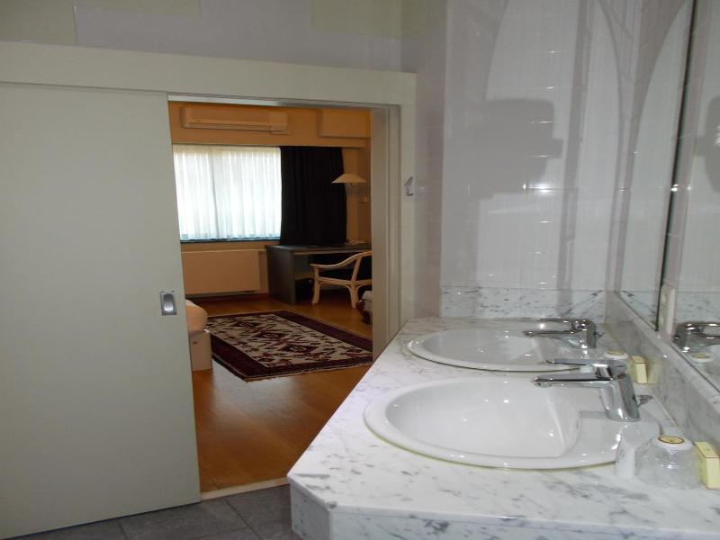 Hotel De Swaen image