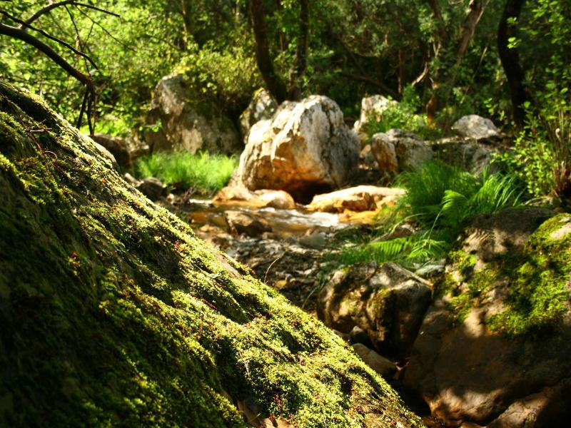Hotel Rural Solar Das Freiras image