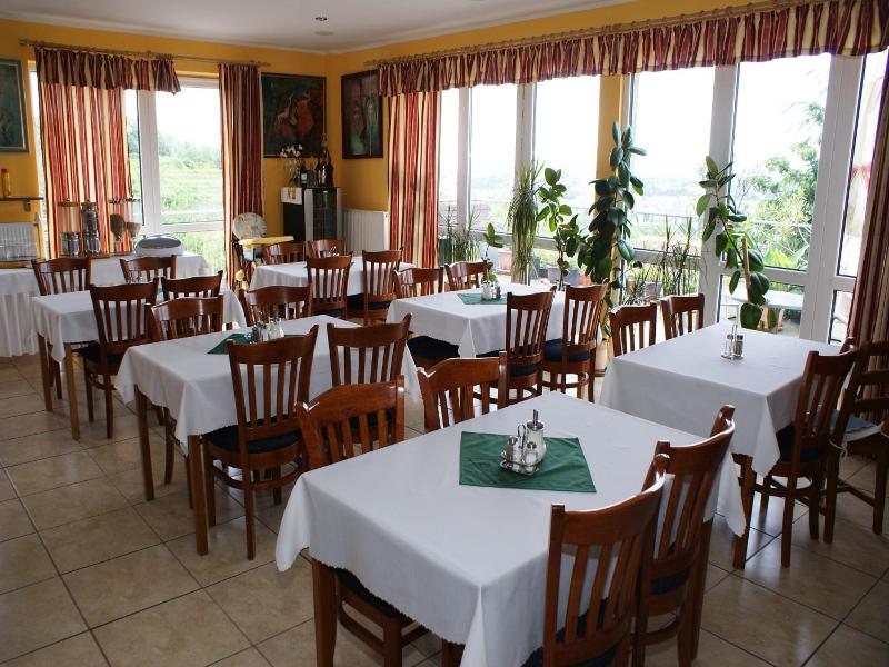 Pension Zlata Noha image
