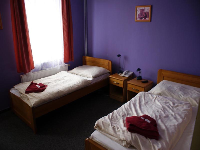 Pension Zlata Noha image