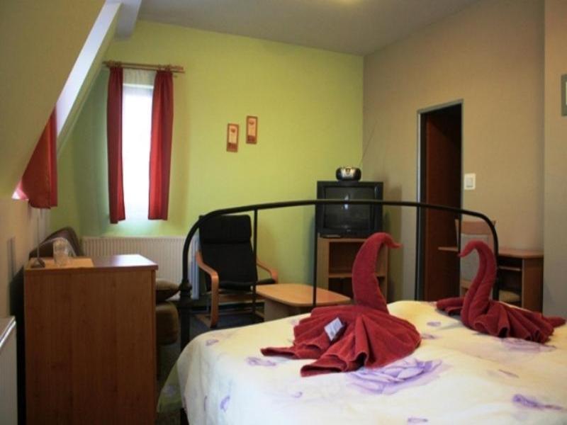 Pension Zlata Noha image