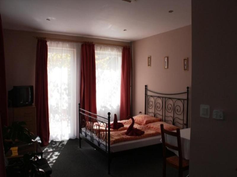 Pension Zlata Noha image