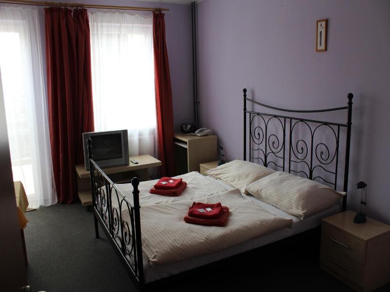 Pension Zlata Noha image