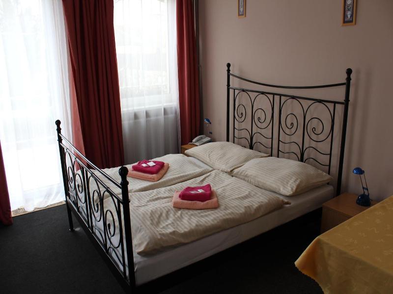 Pension Zlata Noha image