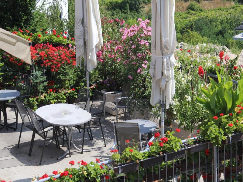 Pension Zlata Noha image