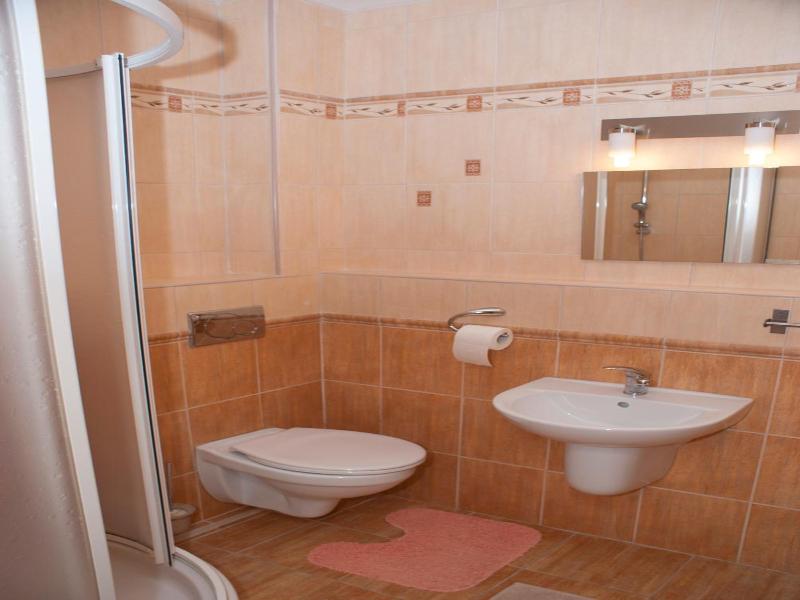 Pension Zlata Noha image