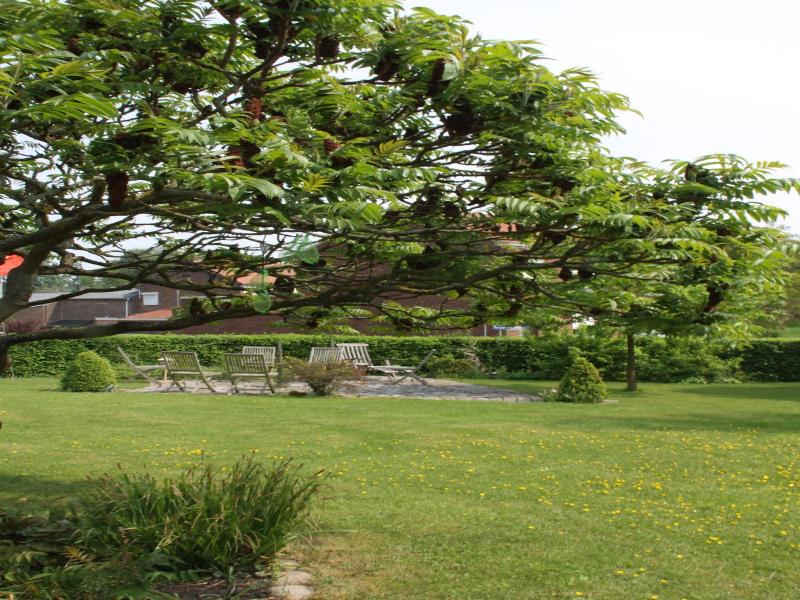 Het Pachthof image