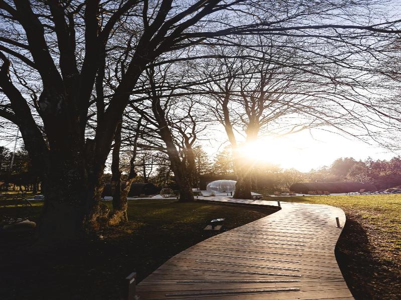Domaine Des Hautes Fagnes image